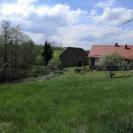 End Of The World -new 2024 - Old Barn Zone! * Szwalk