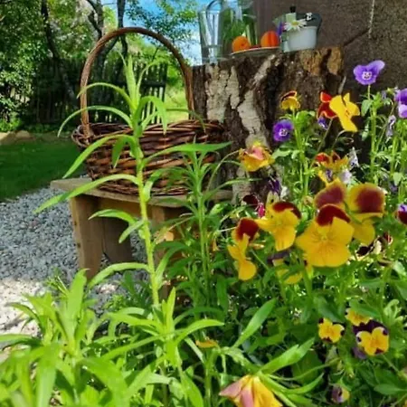 Tatil Evi End Of The World -new 2024 - Old Barn Zone! Szwalk